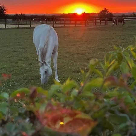 La Criniere Au Vent Holiday home *