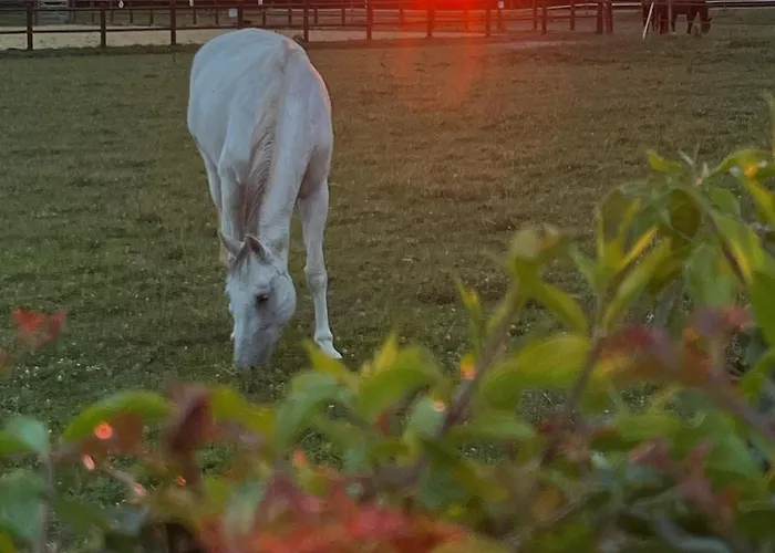 La Criniere Au Vent Holiday home *